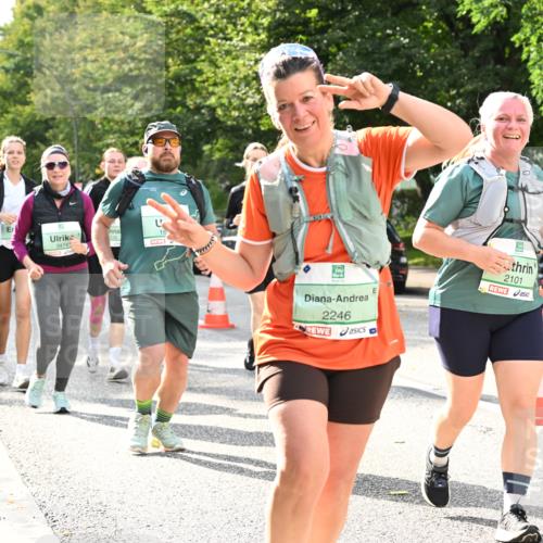 20.09.2026 - PSD Bank Halbmarathon Dr. Thomas Lammeyer http://msf.ph/oto/10513052 20.09.2026 11:08:15 Laufen 3474, 16, 2246, 2101 meine-sportfotos.de