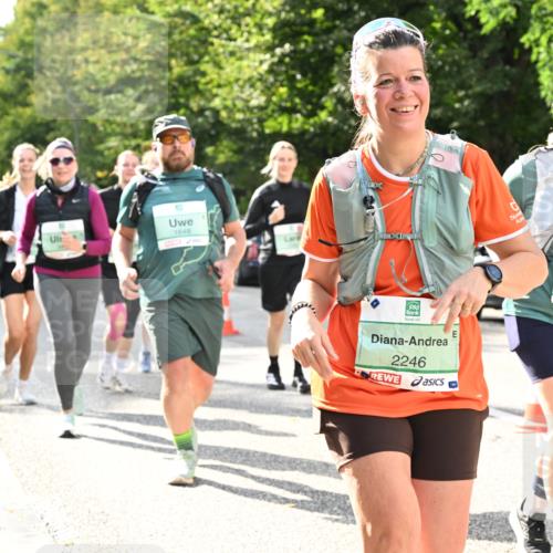 20.09.2026 - PSD Bank Halbmarathon Dr. Thomas Lammeyer http://msf.ph/oto/10513057 20.09.2026 11:08:15 Laufen 1648, 2246, 2101 meine-sportfotos.de