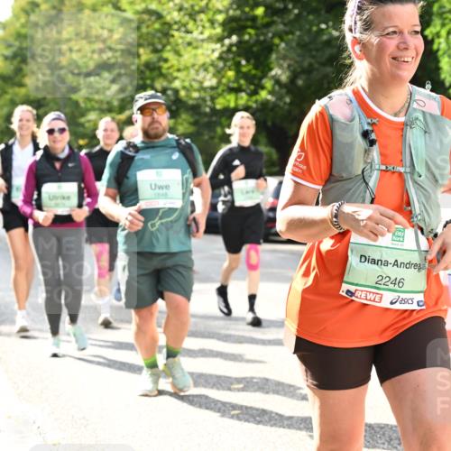 20.09.2026 - PSD Bank Halbmarathon Dr. Thomas Lammeyer http://msf.ph/oto/10513062 20.09.2026 11:08:16 Laufen 1648, 2246, 2101 meine-sportfotos.de