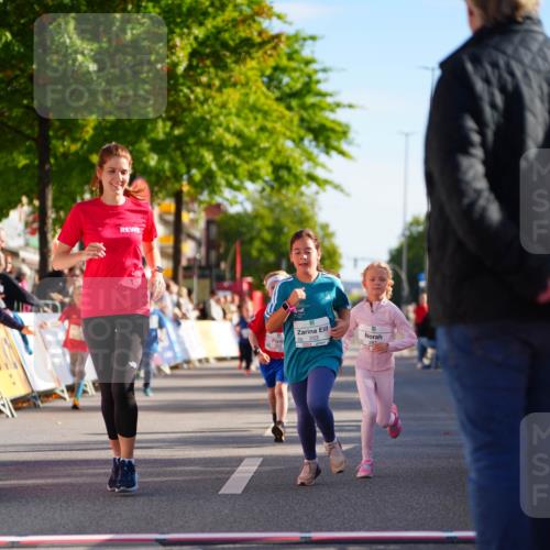 20.09.2026 - PSD Bank Halbmarathon LAZAROV Photography http://msf.ph/oto/10513070 20.09.2026 10:35:15 Laufen 2, 203 meine-sportfotos.de