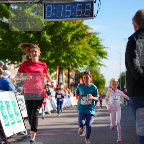 20.09.2026 - PSD Bank Halbmarathon LAZAROV Photography http://msf.ph/oto/10513085 20.09.2026 10:35:16 Laufen 0, 05, 52, 203, 287 meine-sportfotos.de