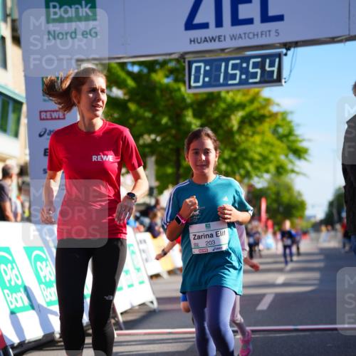 20.09.2026 - PSD Bank Halbmarathon LAZAROV Photography http://msf.ph/oto/10513116 20.09.2026 10:35:18 Laufen 5, 0, 15, 54, 203 meine-sportfotos.de