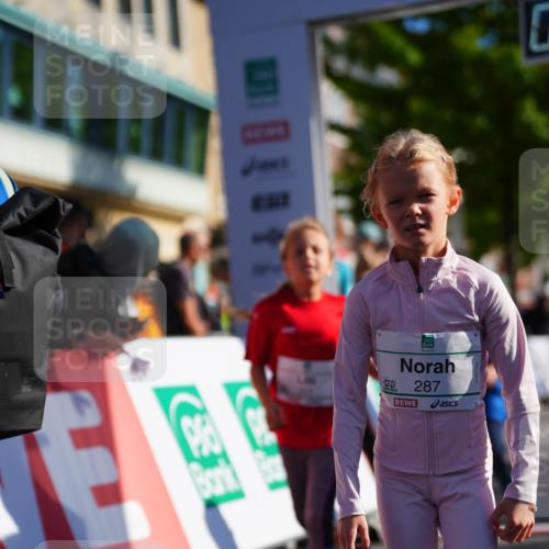 20.09.2026 - PSD Bank Halbmarathon LAZAROV Photography http://msf.ph/oto/10513143 20.09.2026 10:35:21 Laufen 287 meine-sportfotos.de