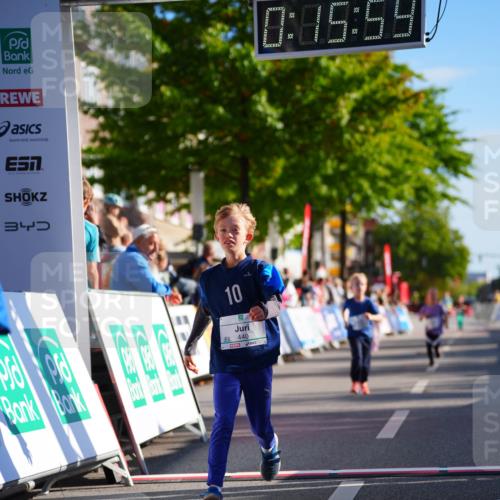 20.09.2026 - PSD Bank Halbmarathon LAZAROV Photography http://msf.ph/oto/10513166 20.09.2026 10:35:24 Laufen 10, 15, 59, 34, 10, 440 meine-sportfotos.de