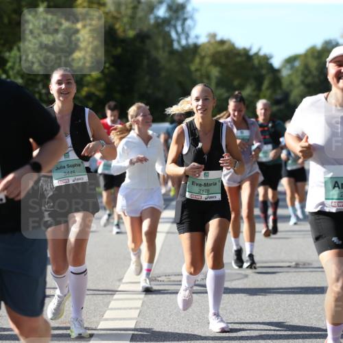 20.09.2026 - PSD Bank Halbmarathon Jannik Wohlers http://msf.ph/oto/10513170 20.09.2026 10:44:49 Laufen 1438, 3445, 2178, 2929 meine-sportfotos.de