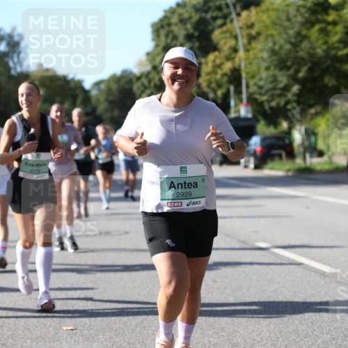 20.09.2026 - PSD Bank Halbmarathon Jannik Wohlers http://msf.ph/oto/10513174 20.09.2026 10:44:49 Laufen 445, 213, 2929 meine-sportfotos.de