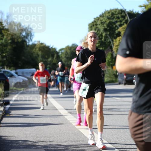 20.09.2026 - PSD Bank Halbmarathon Jannik Wohlers http://msf.ph/oto/10513222 20.09.2026 10:32:59 Laufen 535, 3305 meine-sportfotos.de