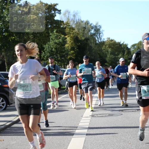 20.09.2026 - PSD Bank Halbmarathon Jannik Wohlers http://msf.ph/oto/10513238 20.09.2026 10:44:58 Laufen 1560, 1576, 2990 meine-sportfotos.de