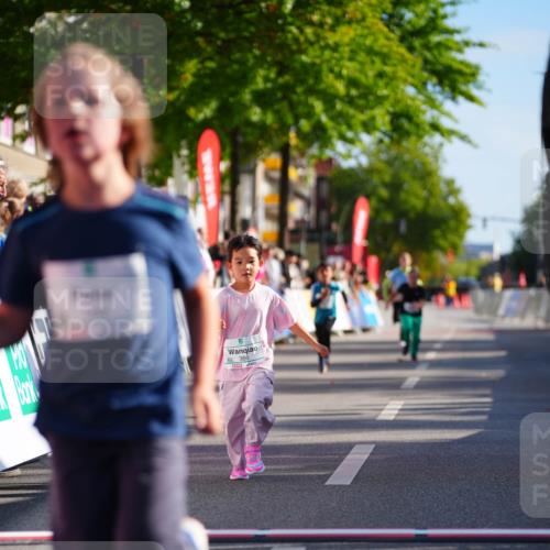 20.09.2026 - PSD Bank Halbmarathon LAZAROV Photography http://msf.ph/oto/10513246 20.09.2026 10:35:33 Laufen 366 meine-sportfotos.de