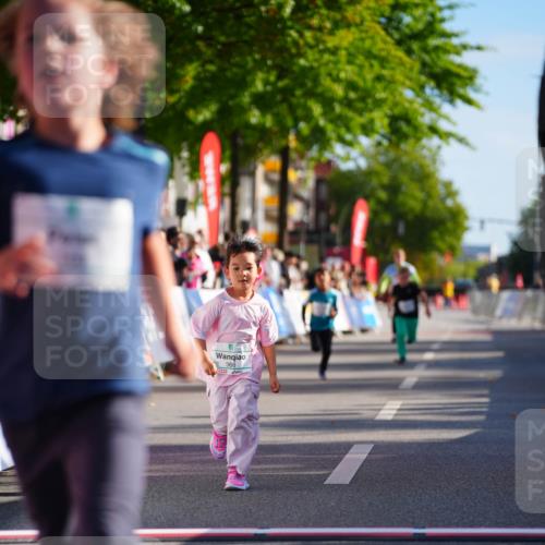 20.09.2026 - PSD Bank Halbmarathon LAZAROV Photography http://msf.ph/oto/10513252 20.09.2026 10:35:33 Laufen 366 meine-sportfotos.de