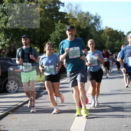 20.09.2026 - PSD Bank Halbmarathon Jannik Wohlers http://msf.ph/oto/10513256 20.09.2026 10:45:00 Laufen 9, 4367, 1421, 1033, 4773, 1043, 4764 meine-sportfotos.de