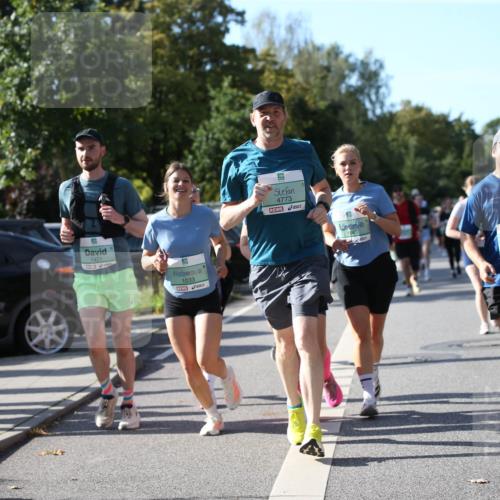 20.09.2026 - PSD Bank Halbmarathon Jannik Wohlers http://msf.ph/oto/10513259 20.09.2026 10:45:00 Laufen 37, 1421, 1033, 4773, 1043, 4764 meine-sportfotos.de