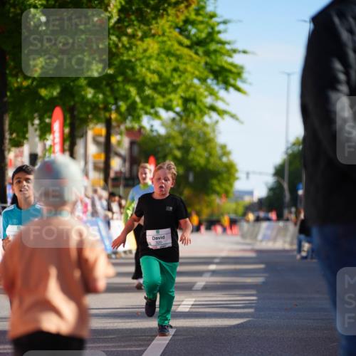 20.09.2026 - PSD Bank Halbmarathon LAZAROV Photography http://msf.ph/oto/10513264 20.09.2026 10:35:37 Laufen 320 meine-sportfotos.de