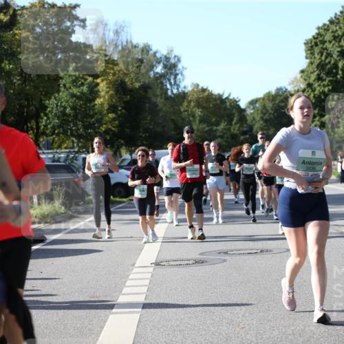 20.09.2026 - PSD Bank Halbmarathon Jannik Wohlers http://msf.ph/oto/10513281 20.09.2026 10:45:03 Laufen 2737, 3436, 4300 meine-sportfotos.de