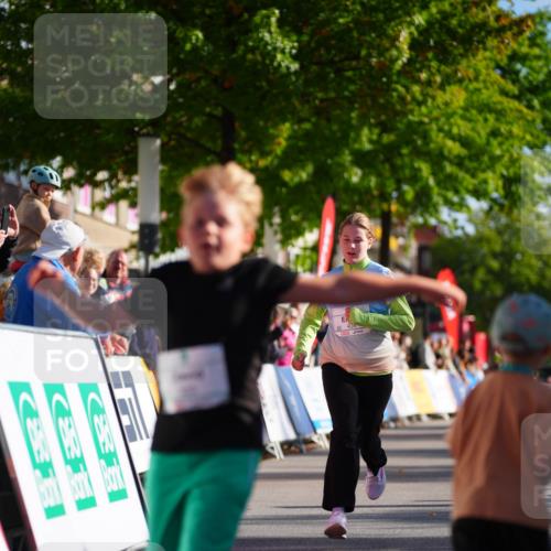 20.09.2026 - PSD Bank Halbmarathon LAZAROV Photography http://msf.ph/oto/10513295 20.09.2026 10:35:39 Laufen  meine-sportfotos.de