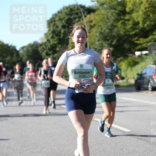 20.09.2026 - PSD Bank Halbmarathon Jannik Wohlers http://msf.ph/oto/10513301 20.09.2026 10:45:04 Laufen 3436 meine-sportfotos.de