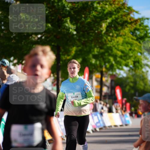 20.09.2026 - PSD Bank Halbmarathon LAZAROV Photography http://msf.ph/oto/10513305 20.09.2026 10:35:40 Laufen 04 meine-sportfotos.de