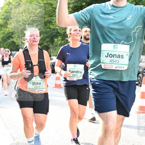 20.09.2026 - PSD Bank Halbmarathon Dr. Thomas Lammeyer http://msf.ph/oto/10513360 20.09.2026 11:08:26 Laufen 2322, 2997, 4543 meine-sportfotos.de