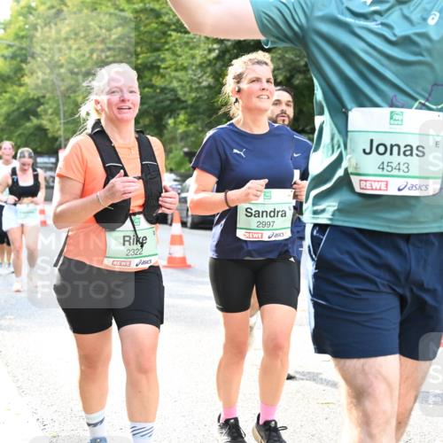 20.09.2026 - PSD Bank Halbmarathon Dr. Thomas Lammeyer http://msf.ph/oto/10513365 20.09.2026 11:08:26 Laufen 2322, 2997, 4543 meine-sportfotos.de