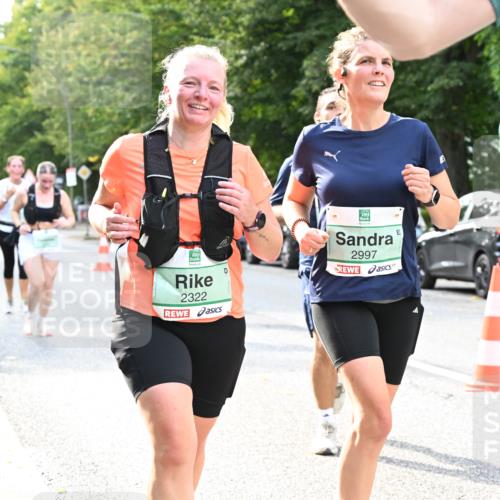 20.09.2026 - PSD Bank Halbmarathon Dr. Thomas Lammeyer http://msf.ph/oto/10513373 20.09.2026 11:08:26 Laufen 2322, 2997 meine-sportfotos.de