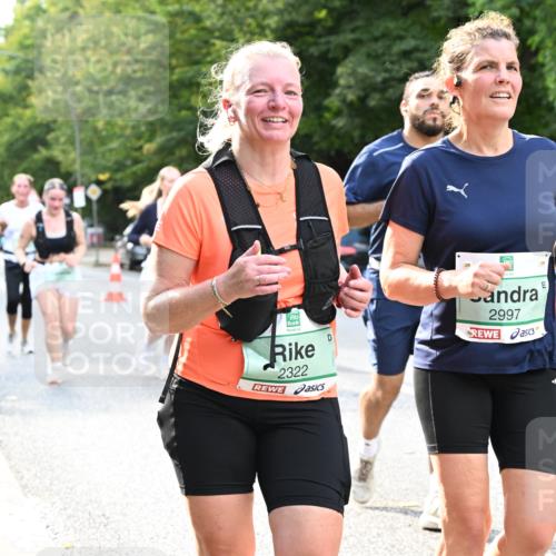 20.09.2026 - PSD Bank Halbmarathon Dr. Thomas Lammeyer http://msf.ph/oto/10513385 20.09.2026 11:08:26 Laufen 2322, 2997 meine-sportfotos.de