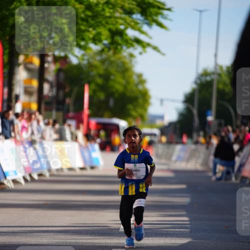 20.09.2026 - PSD Bank Halbmarathon LAZAROV Photography http://msf.ph/oto/10513403 20.09.2026 10:36:15 Laufen 42 meine-sportfotos.de