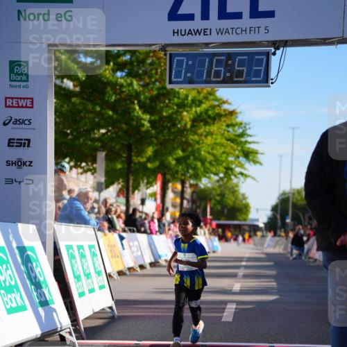 20.09.2026 - PSD Bank Halbmarathon LAZAROV Photography http://msf.ph/oto/10513435 20.09.2026 10:36:18 Laufen 5, 0, 06, 58, 3 meine-sportfotos.de