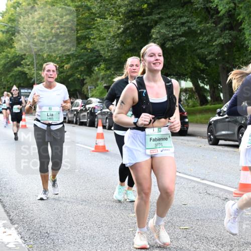 20.09.2026 - PSD Bank Halbmarathon Dr. Thomas Lammeyer http://msf.ph/oto/10513483 20.09.2026 11:08:30 Laufen 1485, 3776 meine-sportfotos.de