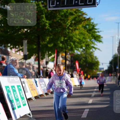 20.09.2026 - PSD Bank Halbmarathon LAZAROV Photography http://msf.ph/oto/10513490 20.09.2026 10:36:50 Laufen  meine-sportfotos.de