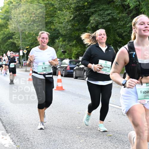 20.09.2026 - PSD Bank Halbmarathon Dr. Thomas Lammeyer http://msf.ph/oto/10513504 20.09.2026 11:08:30 Laufen 1485, 1896, 3776 meine-sportfotos.de