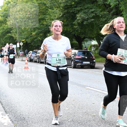 20.09.2026 - PSD Bank Halbmarathon Dr. Thomas Lammeyer http://msf.ph/oto/10513520 20.09.2026 11:08:31 Laufen 1485, 96 meine-sportfotos.de