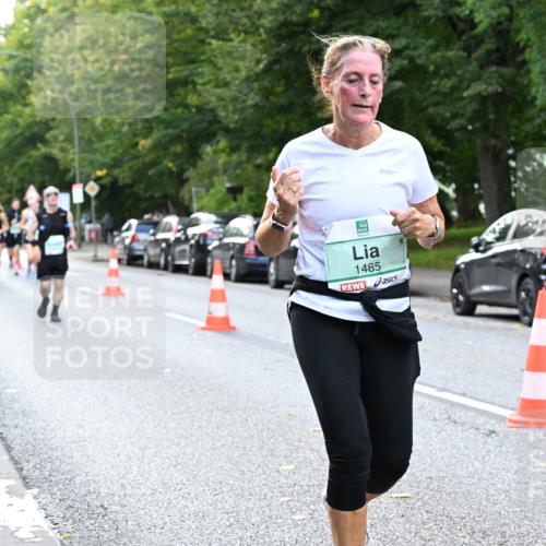 20.09.2026 - PSD Bank Halbmarathon Dr. Thomas Lammeyer http://msf.ph/oto/10513545 20.09.2026 11:08:32 Laufen 1485 meine-sportfotos.de