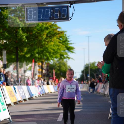 20.09.2026 - PSD Bank Halbmarathon LAZAROV Photography http://msf.ph/oto/10513563 20.09.2026 10:36:57 Laufen 0, 88, 88, 289 meine-sportfotos.de