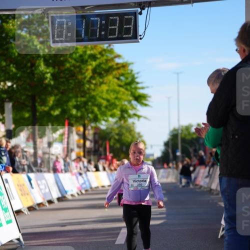 20.09.2026 - PSD Bank Halbmarathon LAZAROV Photography http://msf.ph/oto/10513568 20.09.2026 10:36:57 Laufen 0, 87, 38, 289 meine-sportfotos.de