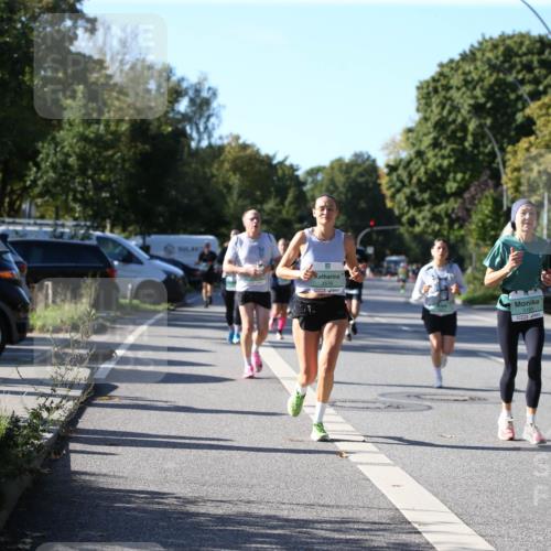 20.09.2026 - PSD Bank Halbmarathon Jannik Wohlers http://msf.ph/oto/10513654 20.09.2026 10:33:53 Laufen  meine-sportfotos.de