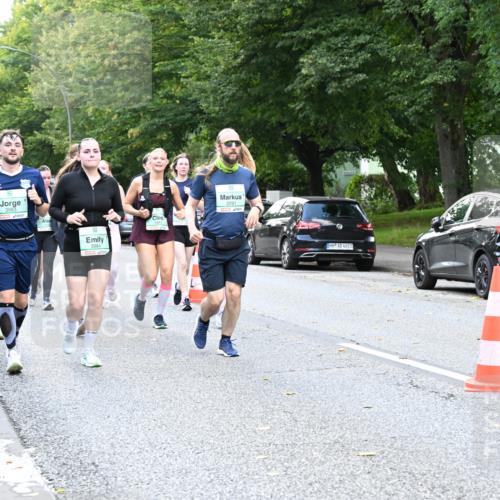 20.09.2026 - PSD Bank Halbmarathon Dr. Thomas Lammeyer http://msf.ph/oto/10513671 20.09.2026 11:08:40 Laufen 3983, 3984, 2291, 4683 meine-sportfotos.de