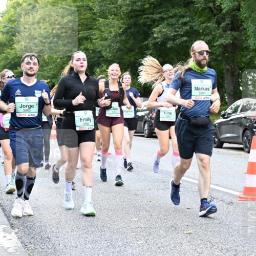 20.09.2026 - PSD Bank Halbmarathon Dr. Thomas Lammeyer http://msf.ph/oto/10513712 20.09.2026 11:08:42 Laufen 3983, 3984, 1881, 1882, 2291 meine-sportfotos.de