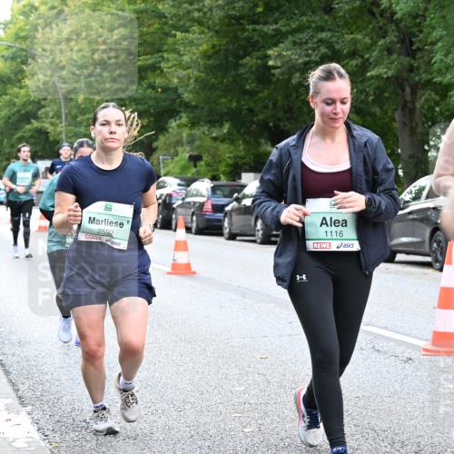 20.09.2026 - PSD Bank Halbmarathon Dr. Thomas Lammeyer http://msf.ph/oto/10513829 20.09.2026 11:08:46 Laufen 2592, 1116 meine-sportfotos.de