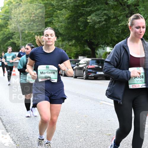 20.09.2026 - PSD Bank Halbmarathon Dr. Thomas Lammeyer http://msf.ph/oto/10513843 20.09.2026 11:08:46 Laufen 00, 2076, 2592, 1116 meine-sportfotos.de