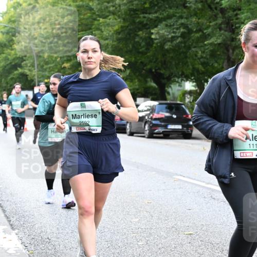 20.09.2026 - PSD Bank Halbmarathon Dr. Thomas Lammeyer http://msf.ph/oto/10513849 20.09.2026 11:08:46 Laufen 2592, 2076, 1116 meine-sportfotos.de