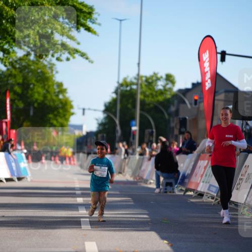 20.09.2026 - PSD Bank Halbmarathon LAZAROV Photography http://msf.ph/oto/10513999 20.09.2026 10:43:21 Laufen  meine-sportfotos.de