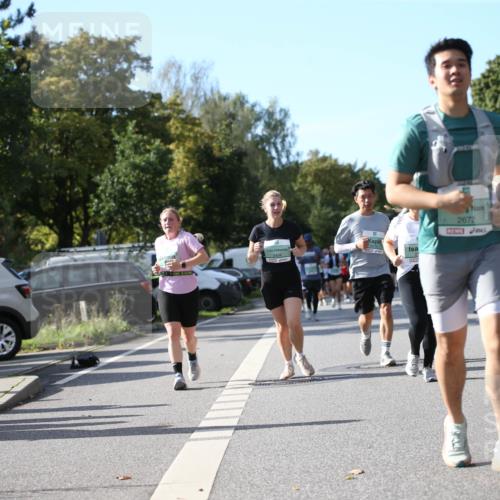20.09.2026 - PSD Bank Halbmarathon Jannik Wohlers http://msf.ph/oto/10514003 20.09.2026 10:46:31 Laufen 2672, 5 meine-sportfotos.de