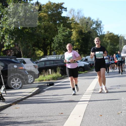20.09.2026 - PSD Bank Halbmarathon Jannik Wohlers http://msf.ph/oto/10514010 20.09.2026 10:46:31 Laufen 2717 meine-sportfotos.de