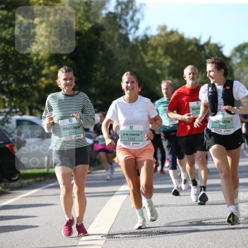 20.09.2026 - PSD Bank Halbmarathon Jannik Wohlers http://msf.ph/oto/10514064 20.09.2026 10:46:41 Laufen 3349, 1743, 2939 meine-sportfotos.de