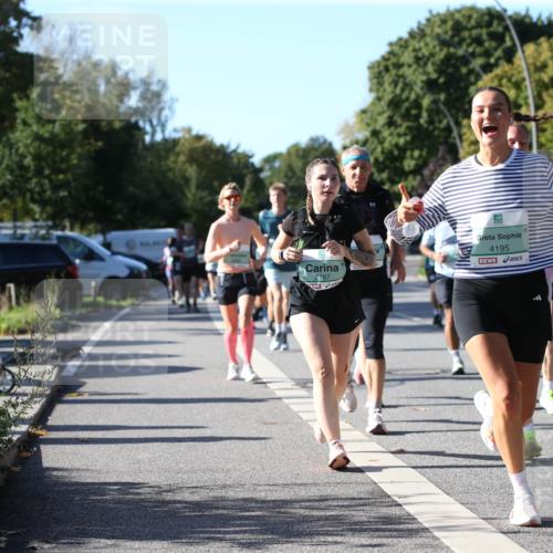 20.09.2026 - PSD Bank Halbmarathon Jannik Wohlers http://msf.ph/oto/10514132 20.09.2026 10:34:42 Laufen 4195, 2787 meine-sportfotos.de