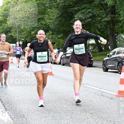 20.09.2026 - PSD Bank Halbmarathon Dr. Thomas Lammeyer http://msf.ph/oto/10514242 20.09.2026 11:08:59 Laufen 146, 2411, 1619 meine-sportfotos.de