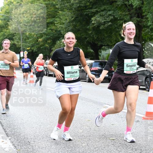 20.09.2026 - PSD Bank Halbmarathon Dr. Thomas Lammeyer http://msf.ph/oto/10514257 20.09.2026 11:08:59 Laufen 1467, 2411, 1619 meine-sportfotos.de