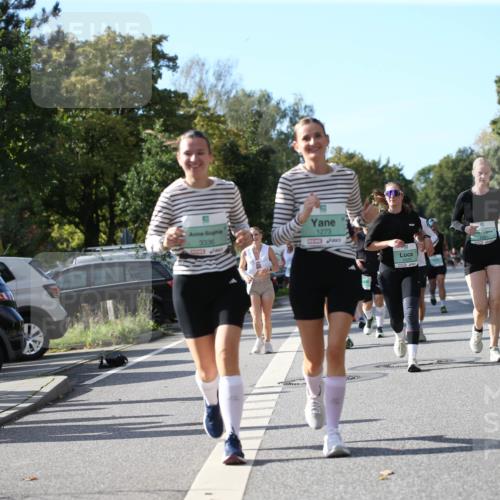 20.09.2026 - PSD Bank Halbmarathon Jannik Wohlers http://msf.ph/oto/10514310 20.09.2026 10:46:58 Laufen 3336, 1273 meine-sportfotos.de