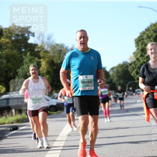20.09.2026 - PSD Bank Halbmarathon Jannik Wohlers http://msf.ph/oto/10514355 20.09.2026 10:47:07 Laufen 2569 meine-sportfotos.de