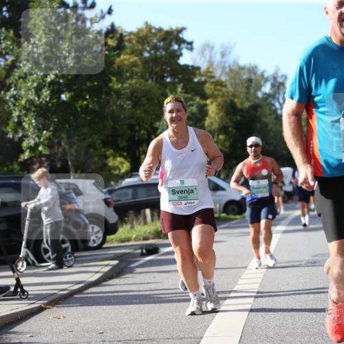 20.09.2026 - PSD Bank Halbmarathon Jannik Wohlers http://msf.ph/oto/10514360 20.09.2026 10:47:07 Laufen 3646, 2569 meine-sportfotos.de